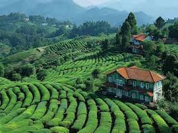 Ooty Hill Station